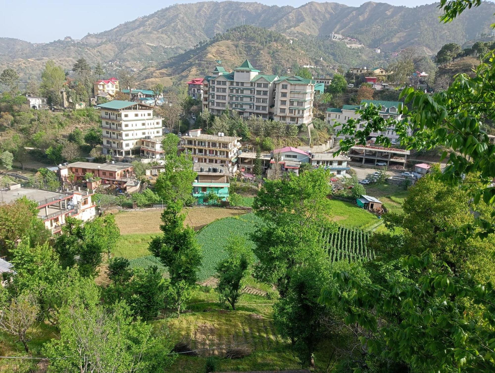 Mohija Homestay Kandaghat Экстерьер фото
